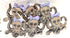 Dress It Up Collection Octopus Scrapbook Buttons by Jesse James Buttons - 6 Pieces