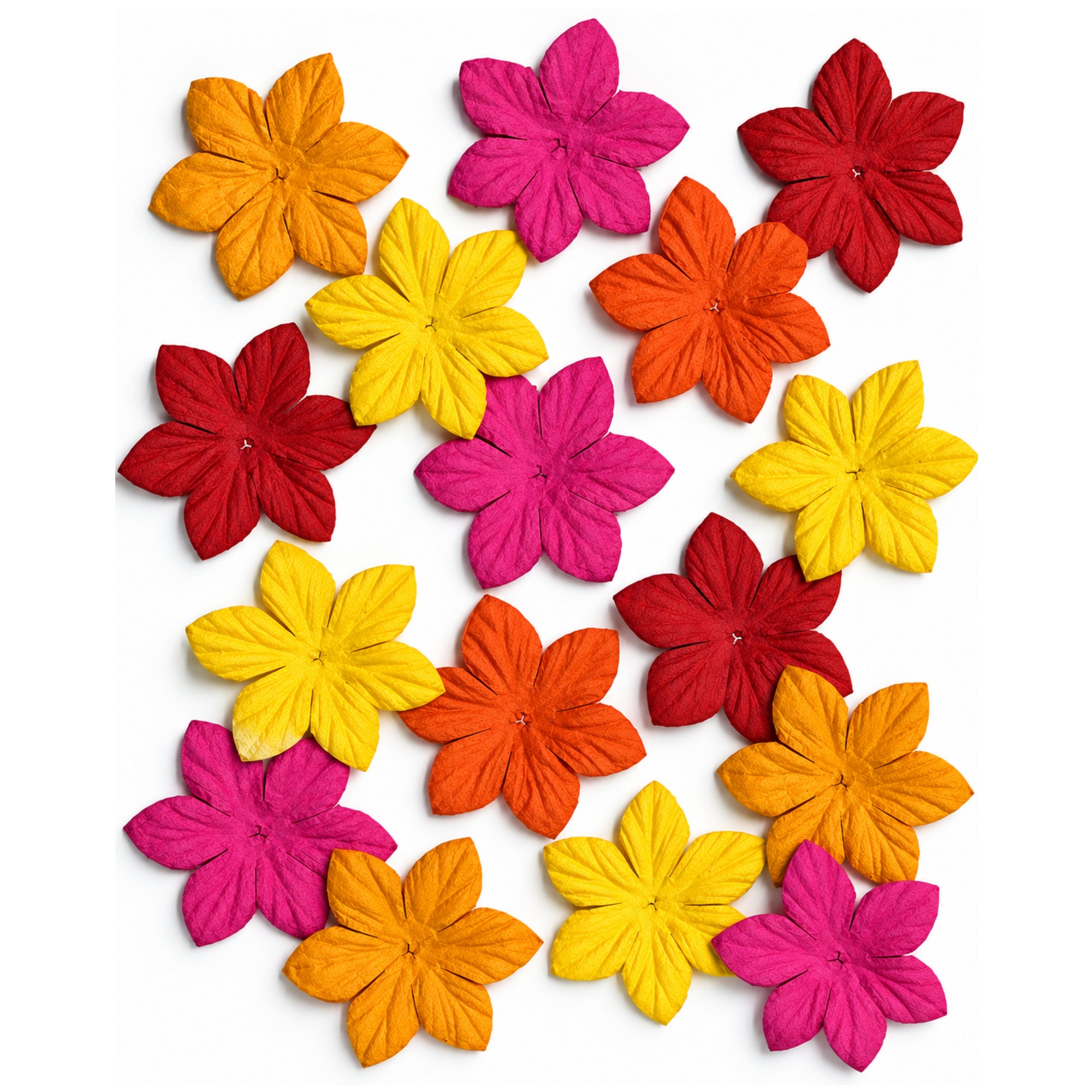 Petal Party Collection Mixed Tropical Punch Poinsettias - Pkg. of 25