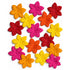 Petal Party Collection Mixed Tropical Punch Poinsettias - Pkg. of 25