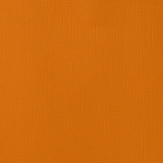 Rust 12 x 12 Textured Cardstock by American Crafts
