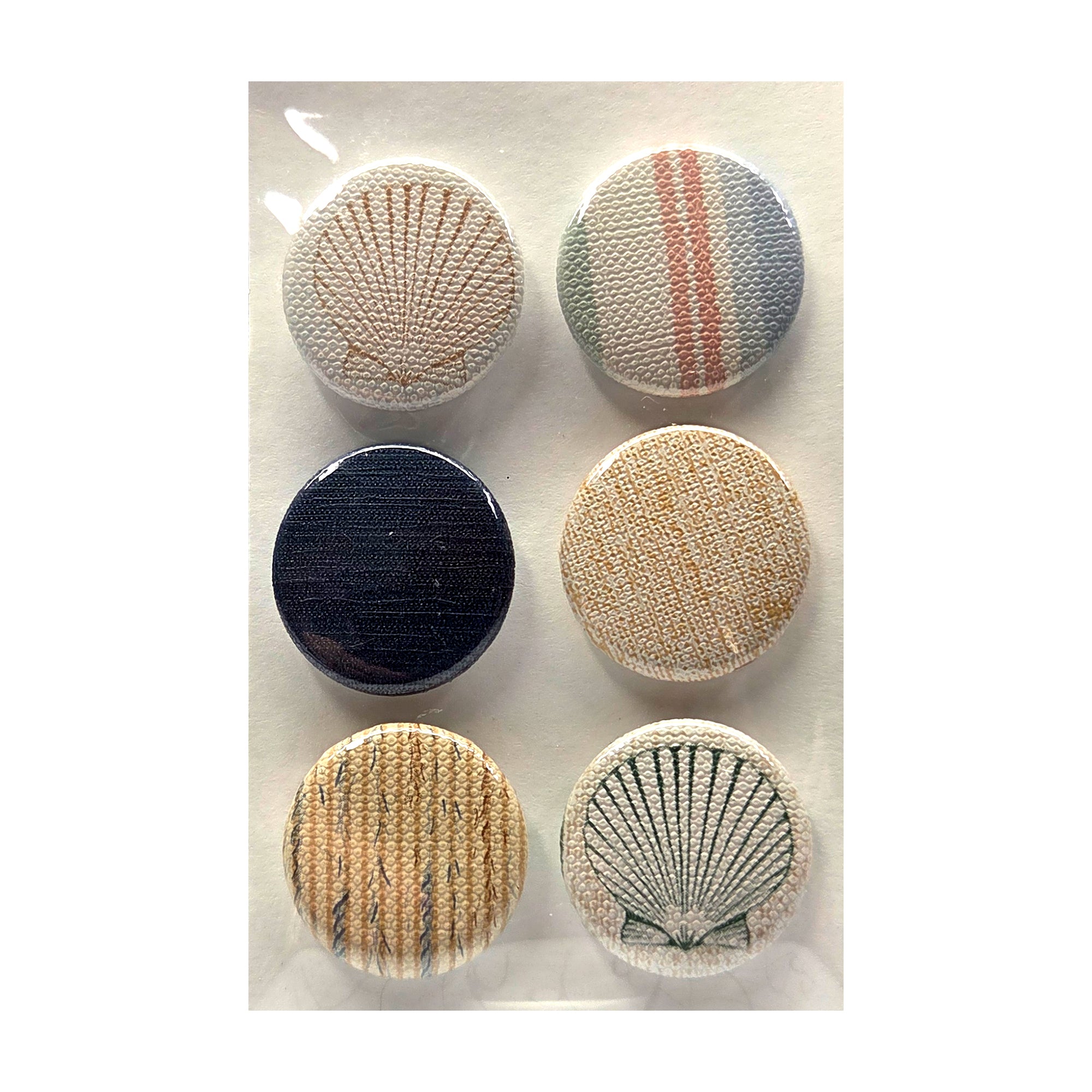 Button Bubbles Collection Seashells 1" Decorative, Self-Adhesive Scrapbook Button Embellishments by Marla - 6 Pieces