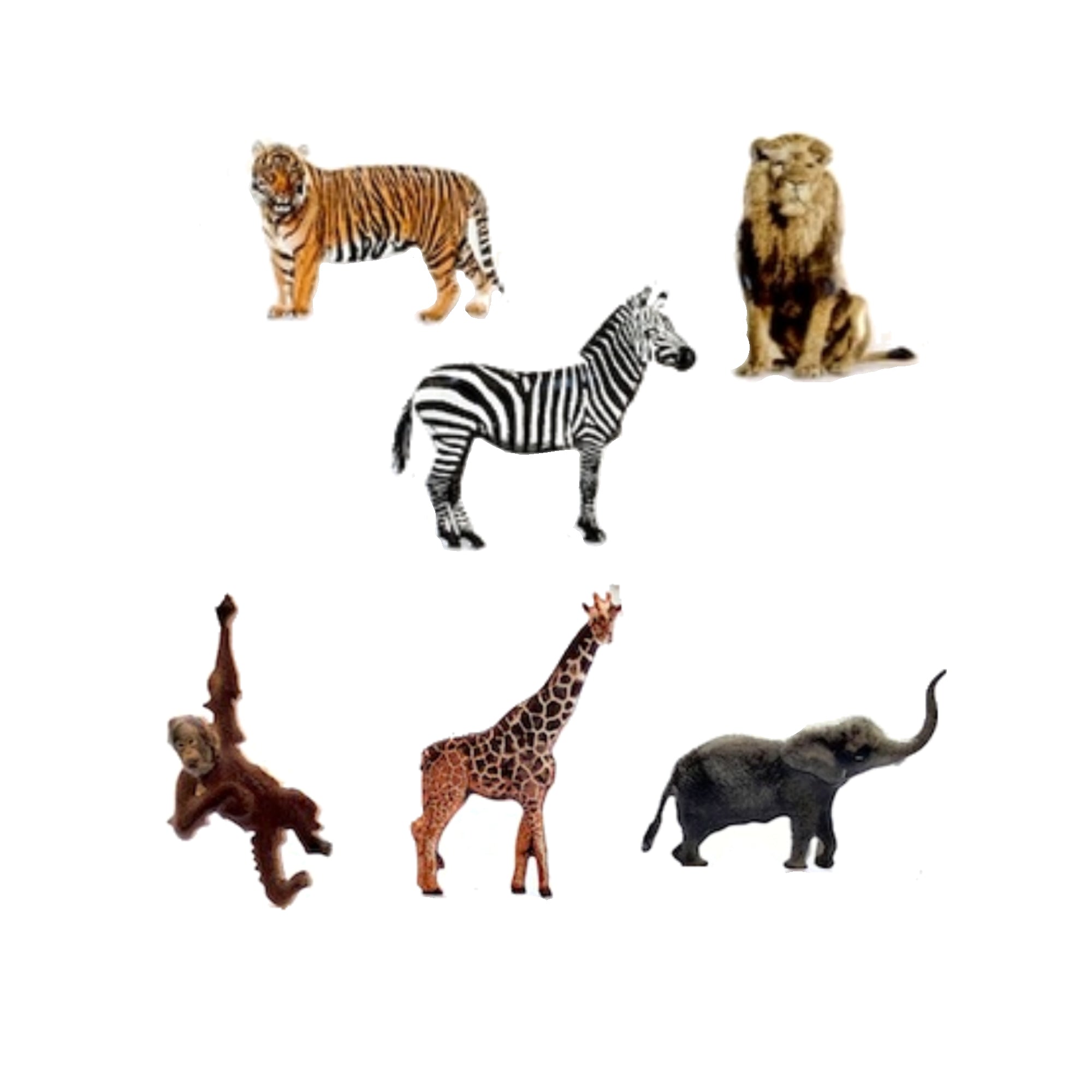 Zoo Mix Brads Scrapbook or Card Embellishments by Eyelet Outlet - Pkg. of 12