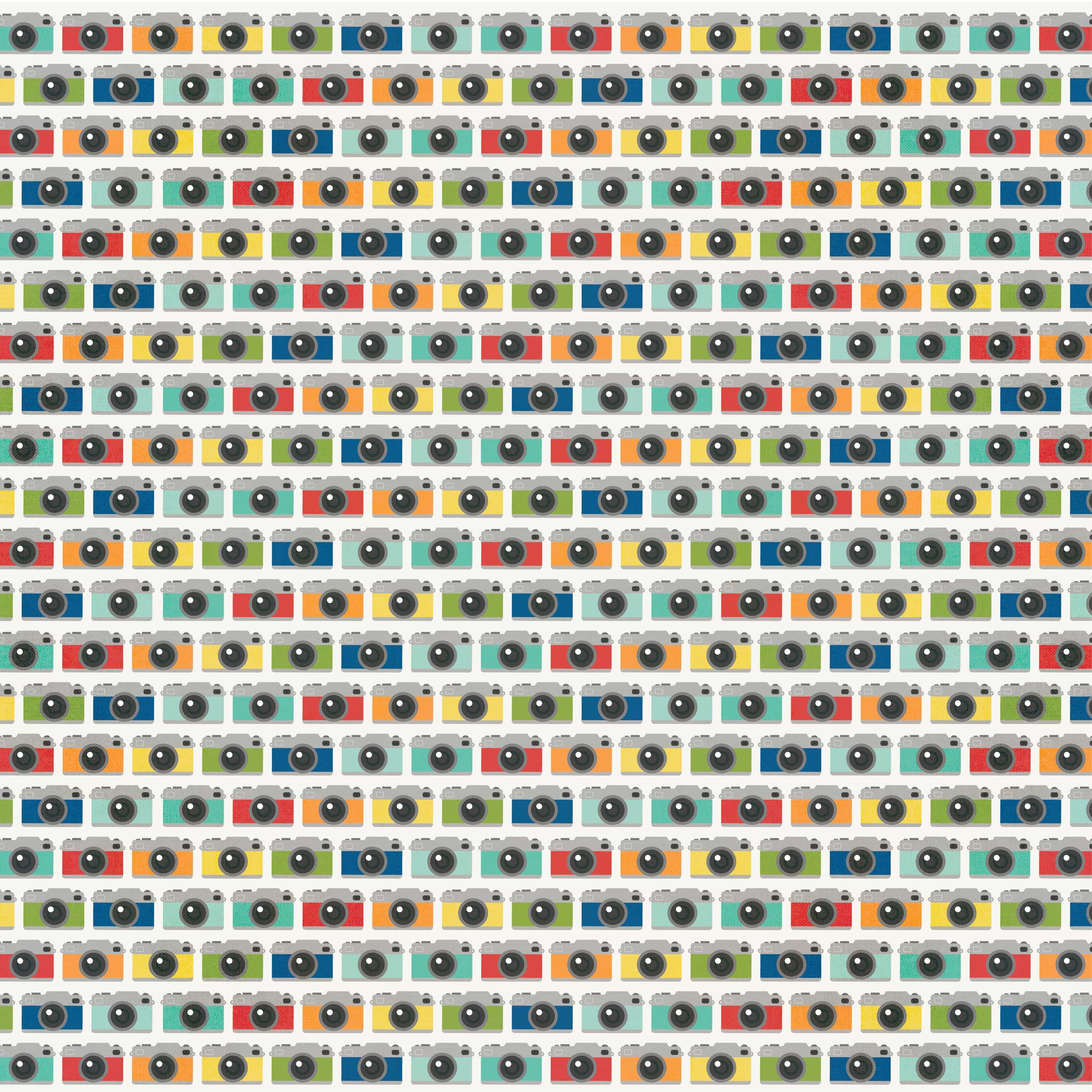 Say Cheese At The Park Collection 2x2/4x4 Elements 12 x 12 Double-Sided Scrapbook Paper by Simple Stories - Scrapbook Supply Companies