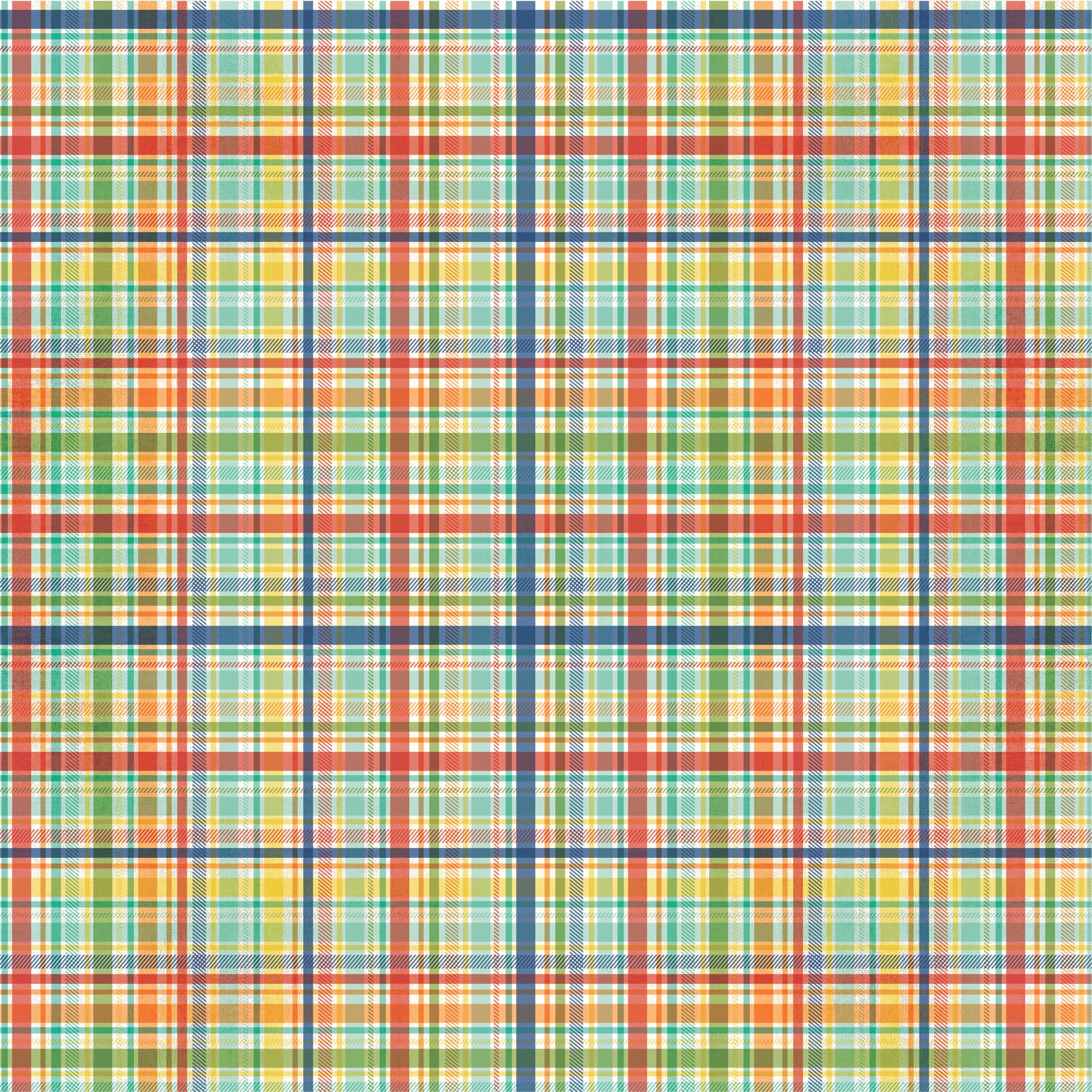 Say Cheese At The Park Collection 4x6 Elements 12 x 12 Double-Sided Scrapbook Paper by Simple Stories - Scrapbook Supply Companies