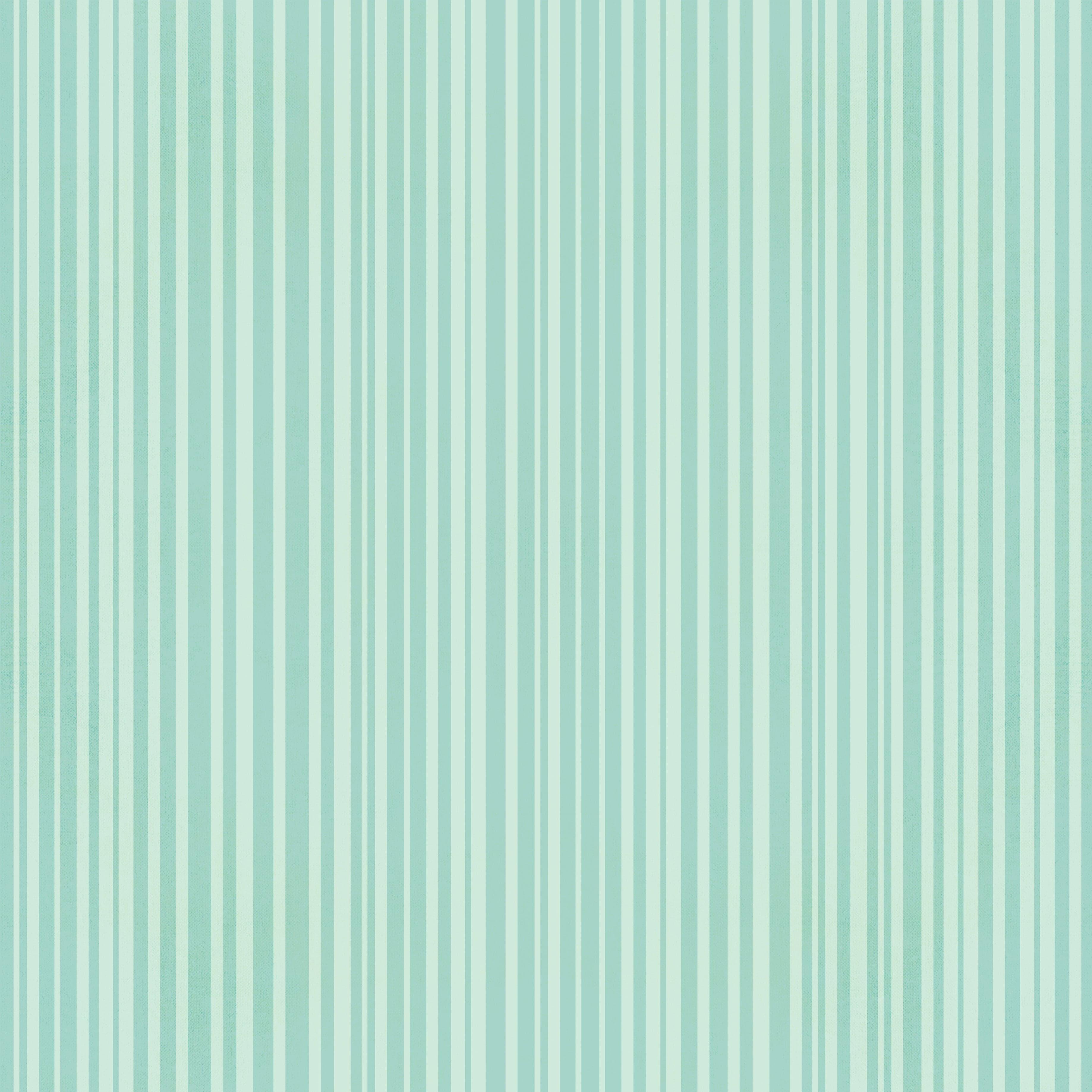 Say Cheese Frontier At The Park Collection Market Square 12 x 12 Double-Sided Scrapbook Paper by Simple Stories - Scrapbook Supply Companies