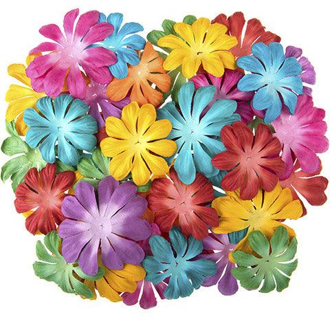 Floral Embellishments Collection Calypso Tin Costa Bright Daises by Darice - 64 Pieces - Scrapbook Supply Companies