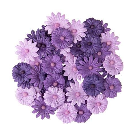 Floral Embellishments Collection Violet Purple Button Daisy .75 inch Blooms Scrapbook Embellishment by Darice - 48 Pieces - Scrapbook Supply Companies