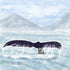 Alaska Collection Whale Tail 12 x 12 Scrapbook Paper by Scrapbook Customs