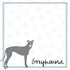 Puppy Love Collection Greyhound 12 x 12 Double-Sided Scrapbook Paper by Scrapbook Customs - Scrapbook Supply Companies