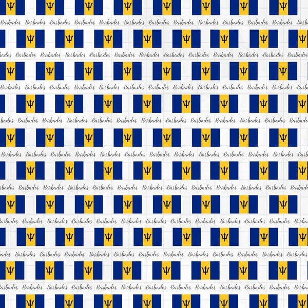 Travel Adventure Collection Barbados Border 12 x 12 Double-Sided Scrapbook Paper by Scrapbook Customs - Scrapbook Supply Companies