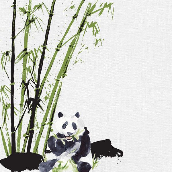 African Safari Collection Panda Bear 12 x 12 Double-Sided Scrapbook Paper by Scrapbook Customs - Scrapbook Supply Companies