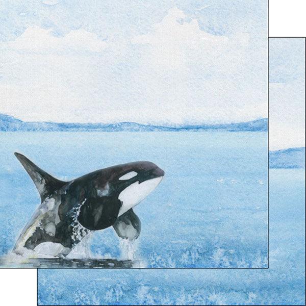 African Safari Collection Orca 12 x 12 Double-Sided Scrapbook Paper by Scrapbook Customs