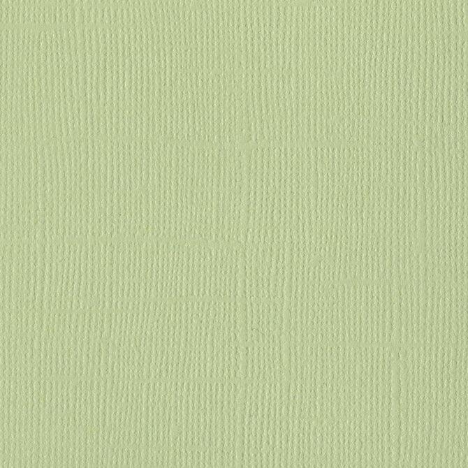 Aloe Vera 12 x 12 Textured Cardstock by Bazzill