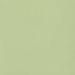 Aloe Vera 12 x 12 Textured Cardstock by Bazzill