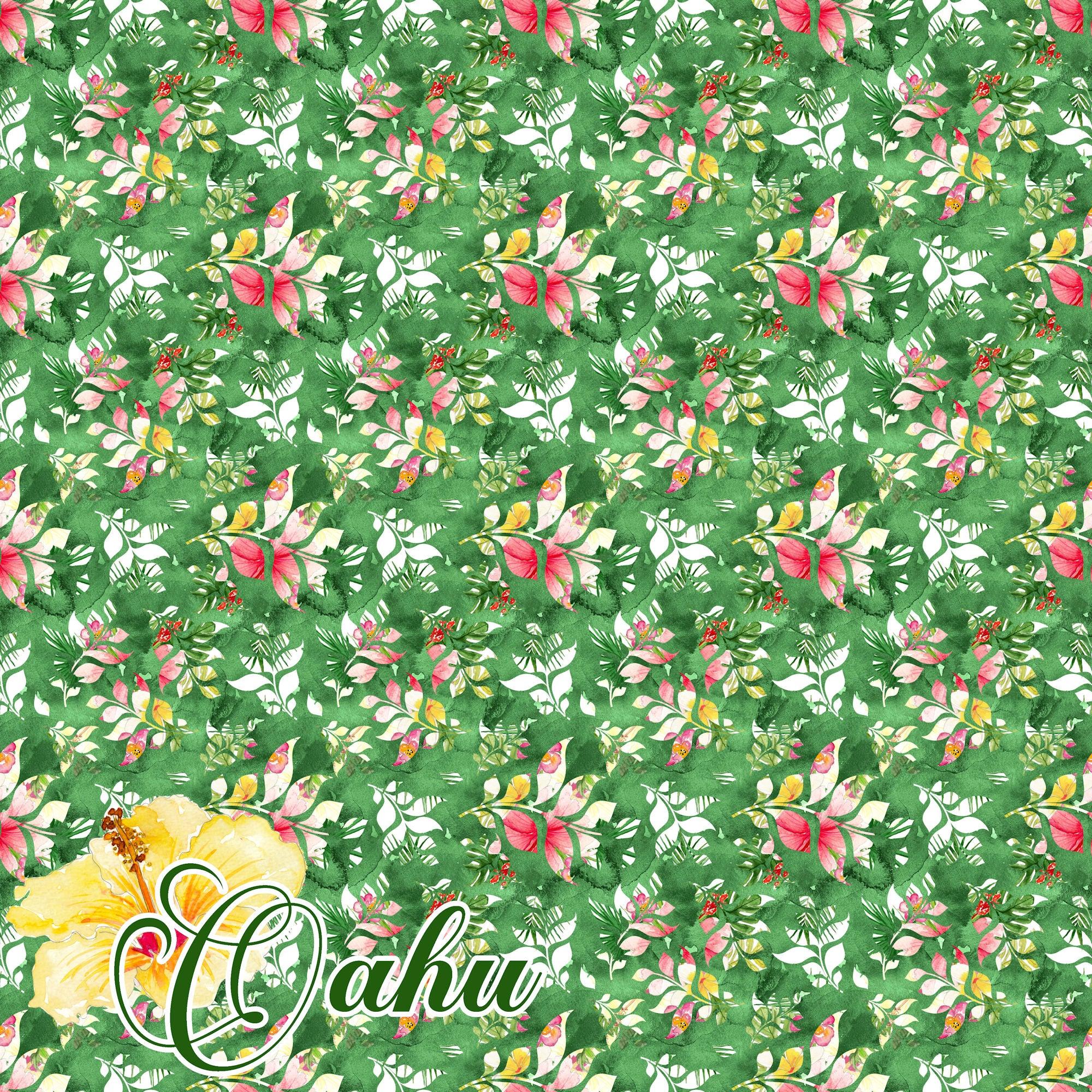 Aloha, Hawaii Collection Oahu 12 x 12 Double-Sided Scrapbook Paper by SSC Designs - Scrapbook Supply Companies