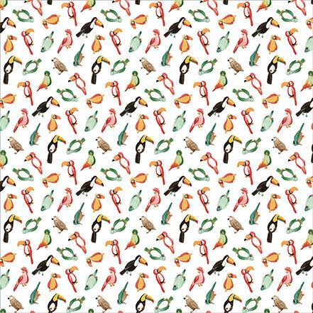 Animal Kingdom Collection Birds Of A Feather 12 x 12 Double-Sided Scrapbook Paper by Echo Park Paper - Scrapbook Supply Companies
