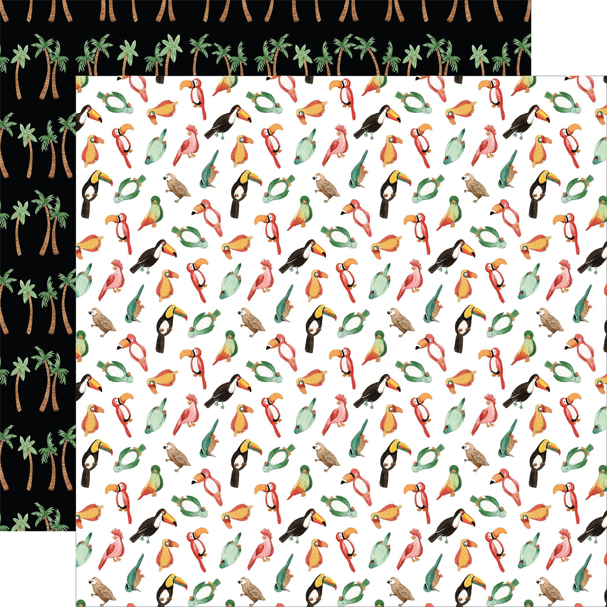 Animal Kingdom Collection Birds Of A Feather 12 x 12 Double-Sided Scrapbook Paper by Echo Park Paper - Scrapbook Supply Companies
