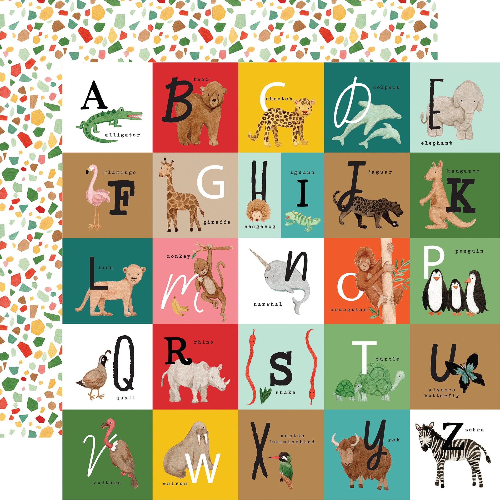 Animal Kingdom Collection Alphabet Squares 12 x 12 Double-Sided Scrapbook Paper by Echo Park Paper - Scrapbook Supply Companies