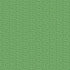 Animal Kingdom Collection Tropical Terrarium 12 x 12 Double-Sided Scrapbook Paper by Echo Park Paper - Scrapbook Supply Companies