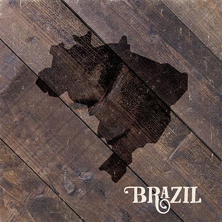 Around The World Collection Brazil 12 x 12 Double-Sided Paper by Echo Park Paper - Scrapbook Supply Companies