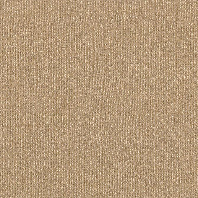 Bazzill Bling Blank Check 12 x 12 Textured Shimmer Cardstock by Bazzill