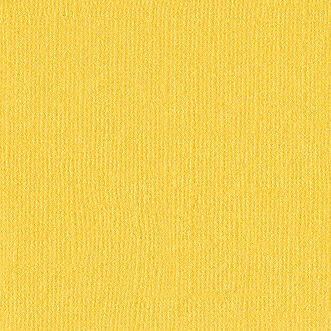 Bazzill Bling Bling 12 x 12 Textured Shimmer Cardstock by Bazzill