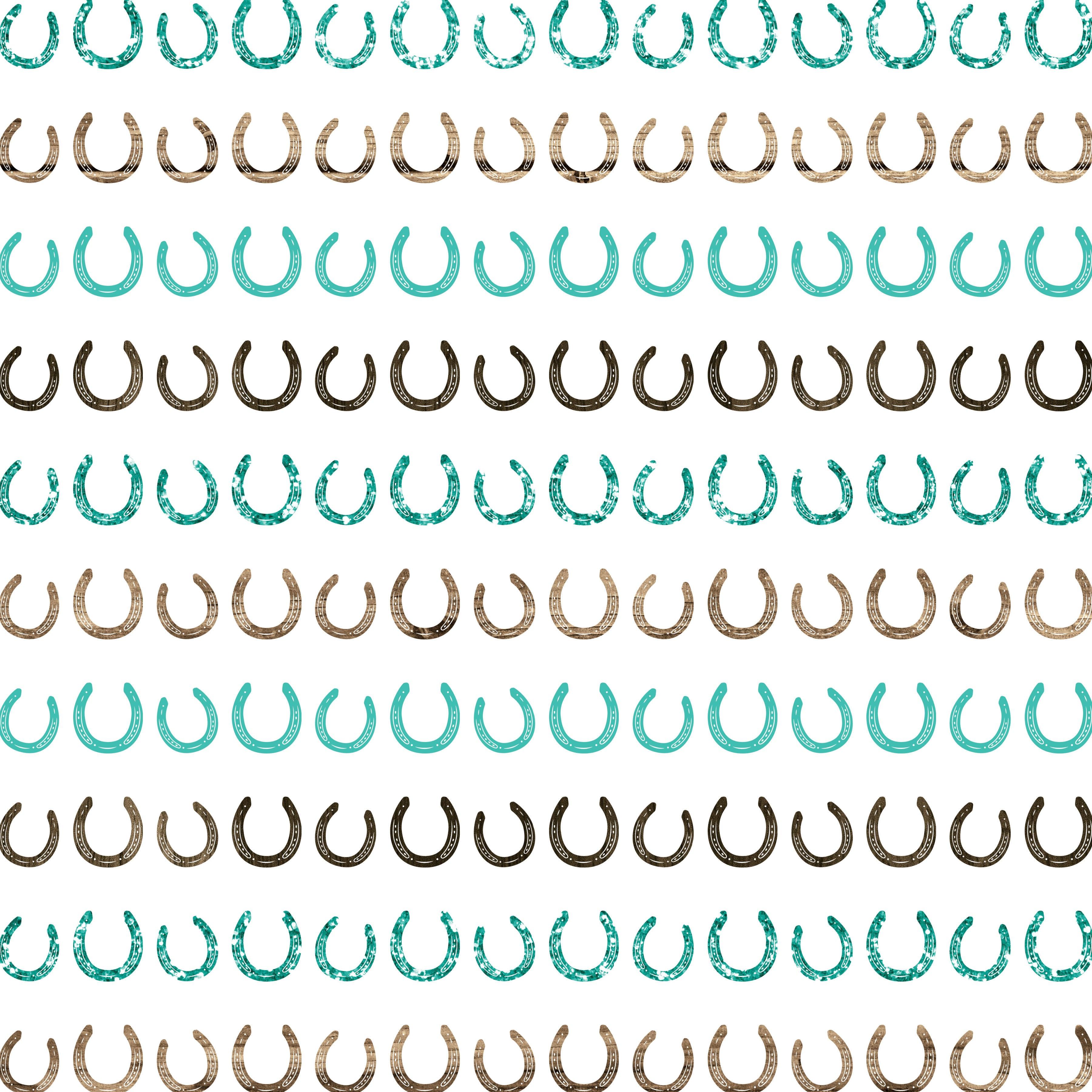 Cowgirls Collection Hot Horseshoe 12 x 12 Double-Sided Scrapbook Paper by SSC Designs