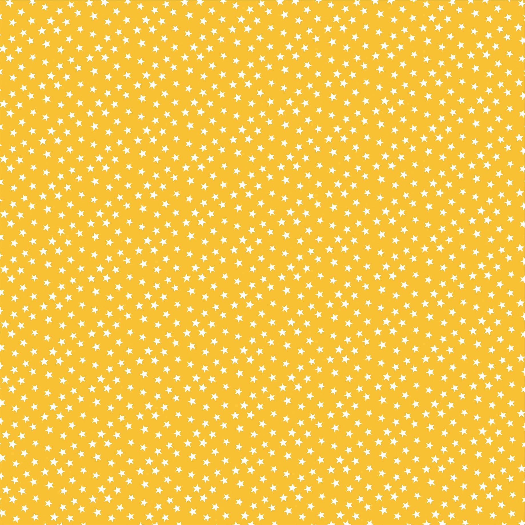 Believe In Magic Collection Fun Day Phrases 12 x 12 Double-Sided Scrapbook Paper by Carta Bella - Scrapbook Supply Companies
