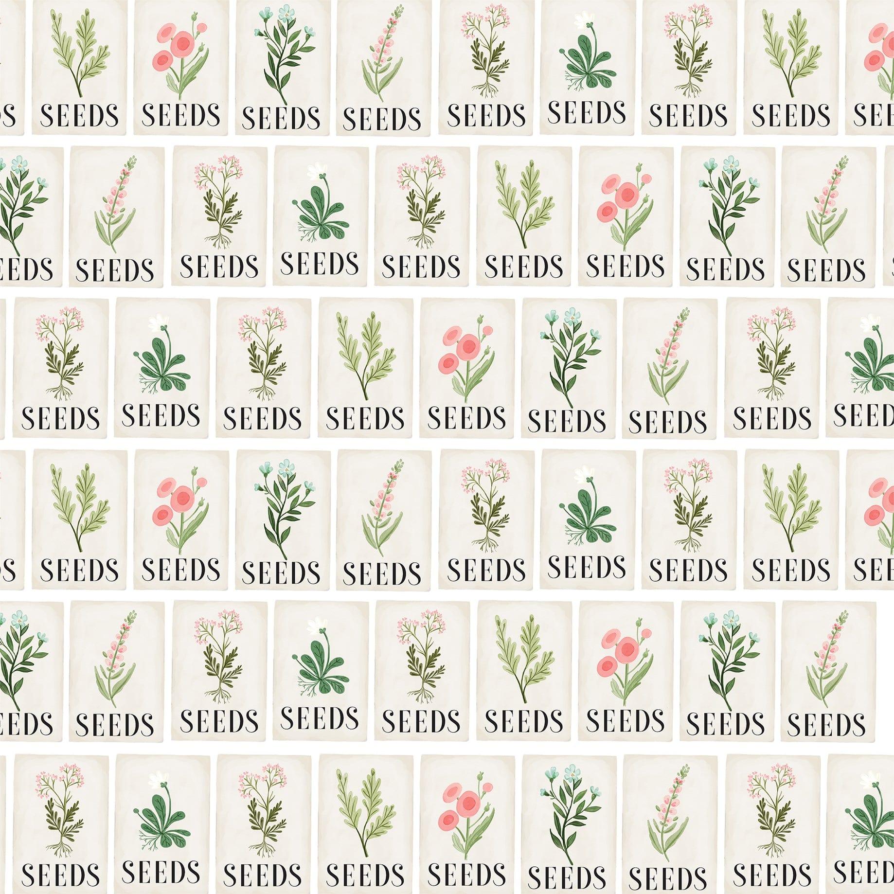 Flower Garden Collection Seeds 12 x 12 Double-Sided Scrapbook Paper by Carta Bella - Scrapbook Supply Companies