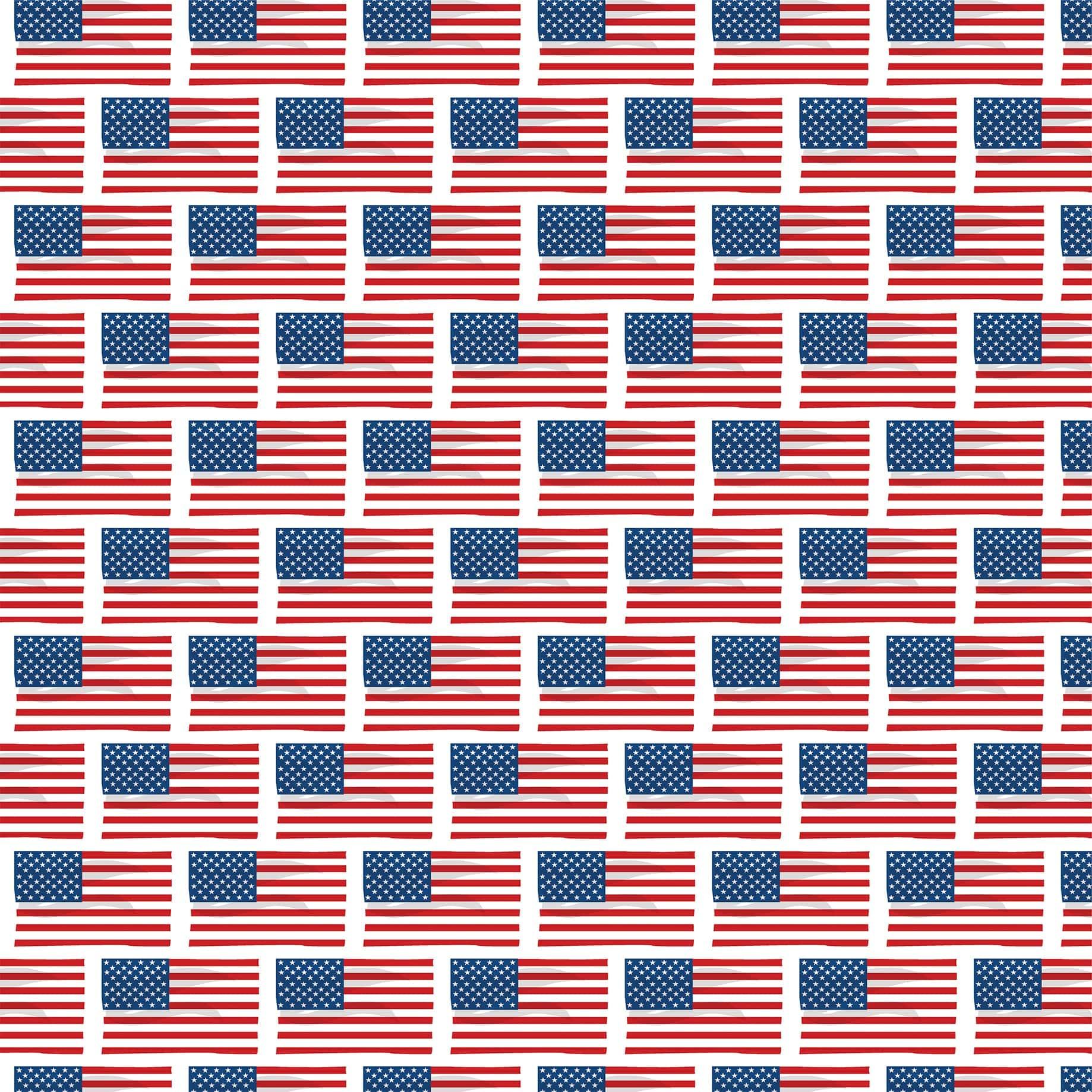 God Bless America Collection Flying Flags 12 x 12 Double-Sided Scrapbook Paper by Carta Bella - Scrapbook Supply Companies