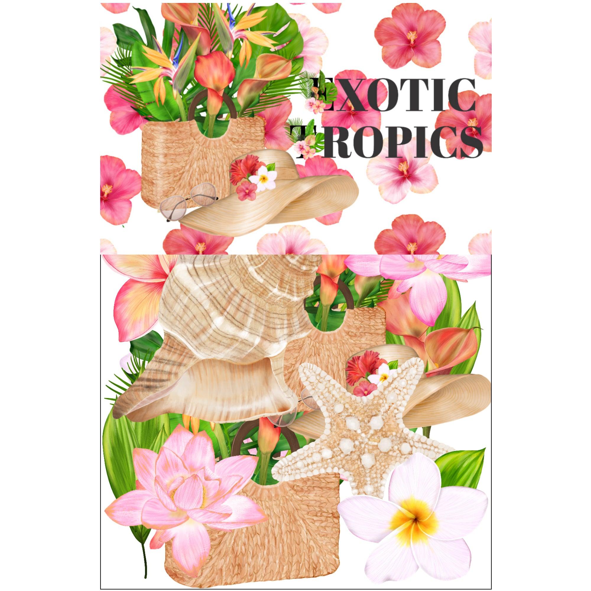 Exotic Tropics Collection Laser Cut Ephemera Embellishments by SSC Designs