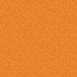 Fall Collection Fall Phrases 12 x 12 Double-Sided Scrapbook Paper by Echo Park Paper - Scrapbook Supply Companies