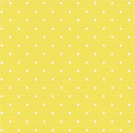 Homegrown Collection Watering Cans 12 x 12 Double-Sided Scrapbook Paper by Echo Park Paper - Scrapbook Supply Companies