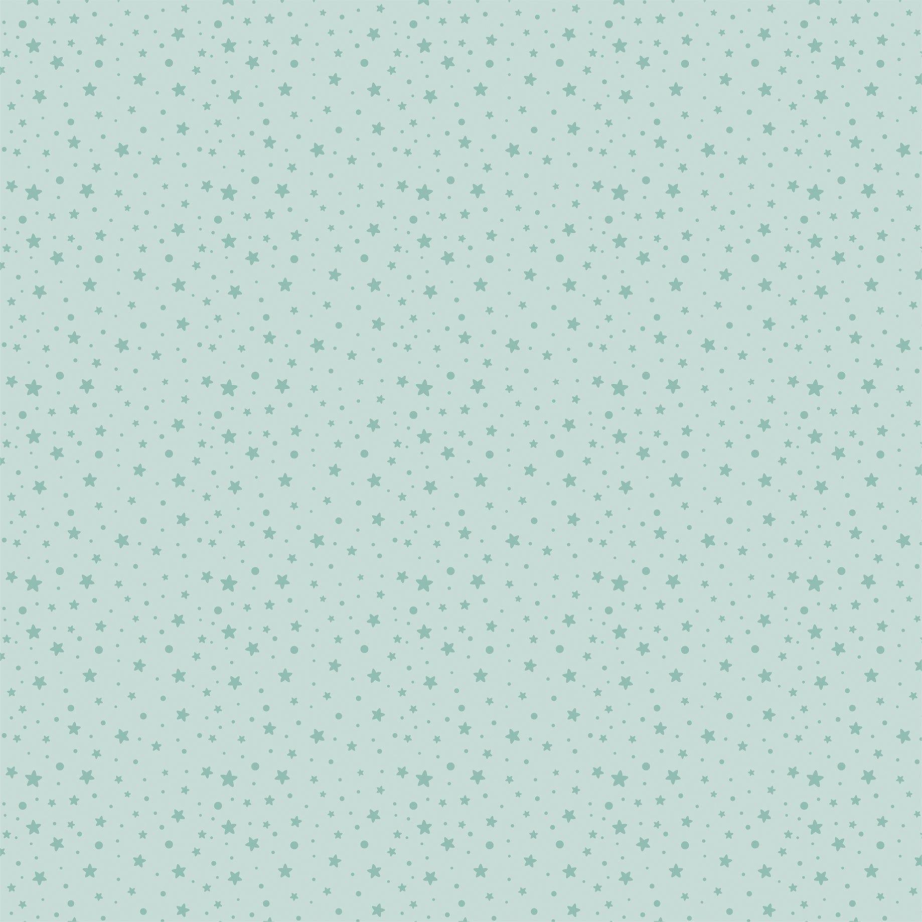 It's A Boy Collection Catch The Train 12 x 12 Double-Sided Scrapbook Paper by Echo Park Paper - Scrapbook Supply Companies