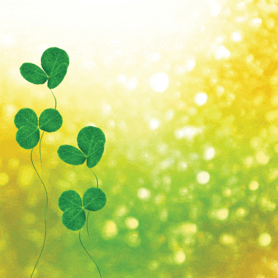 Irish Sass Collection Four-Leaf Clover 12 x 12 Double-Sided Scrapbook Paper by Reminisce - Scrapbook Supply Companies