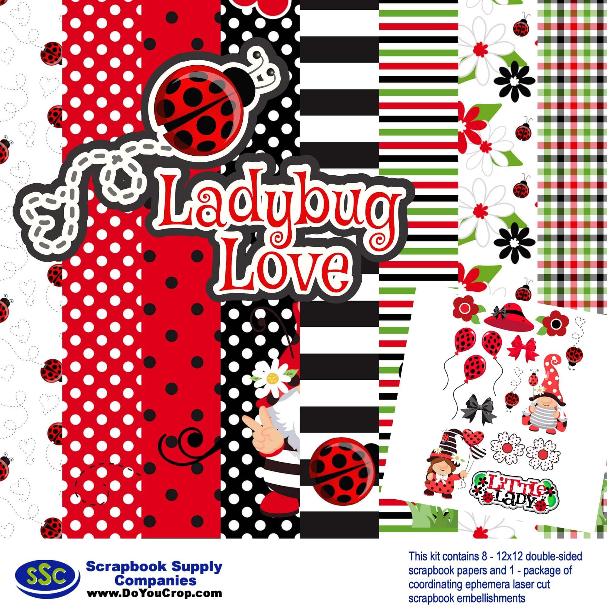 Ladybug Love 12 x 12 Scrapbook Paper & Embellishment Kit by SSC Designs