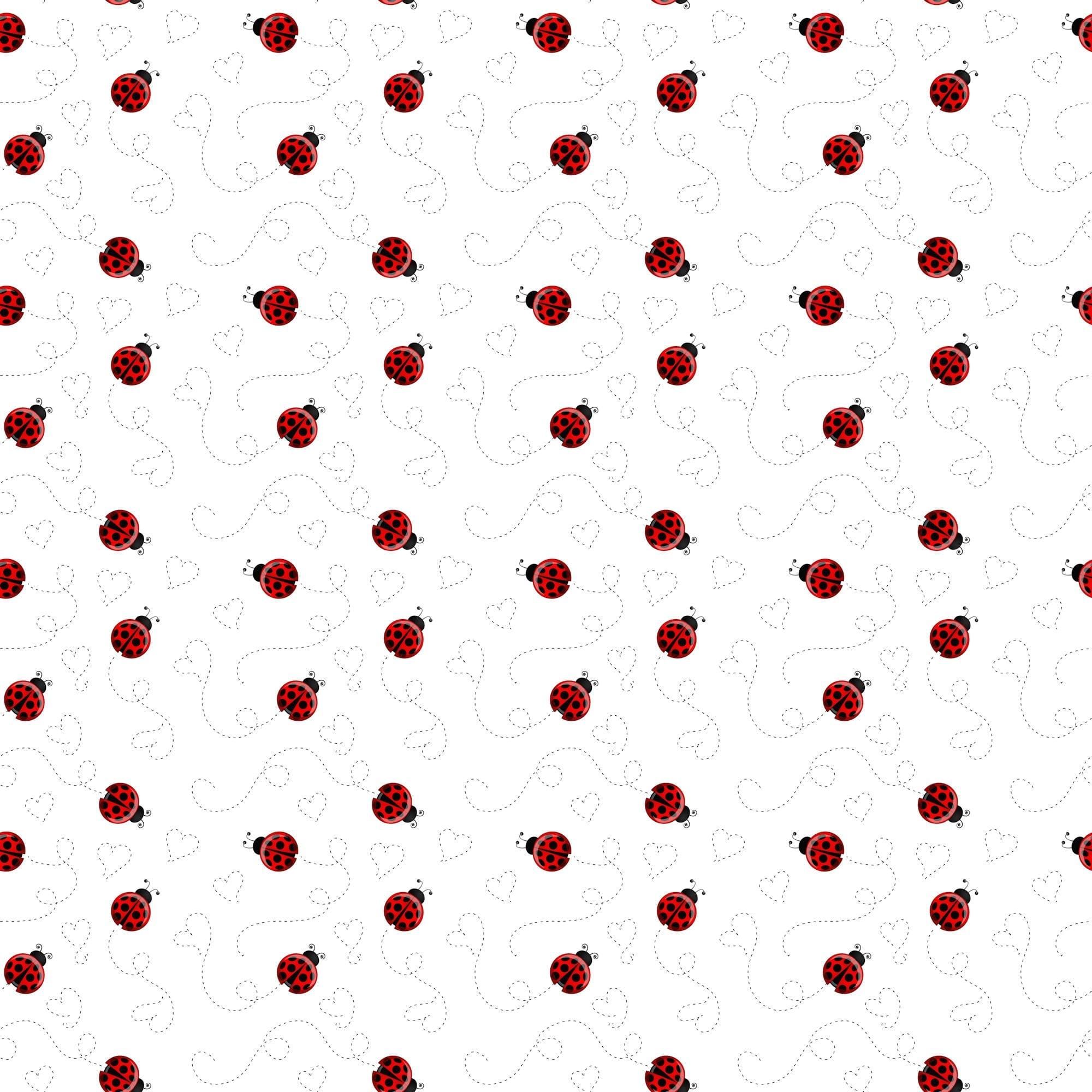 Ladybug Love Collection I Heart You 12 x 12 Double-Sided Scrapbook Paper by SSC Designs