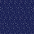 Little Dreamer Boy Collection Planes Palooza 12 x 12 Double-Sided Scrapbook Paper by Echo Park Paper - Scrapbook Supply Companies