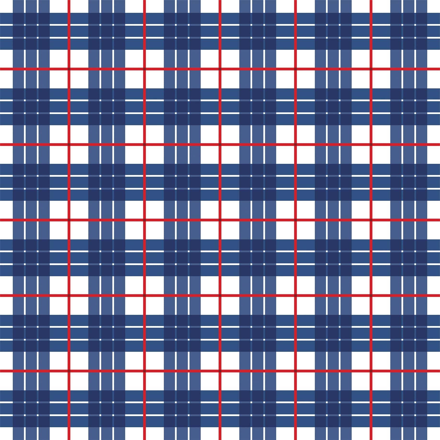 Let Freedom Ring Collection Patriotic Plaid 12 x 12 Double-Sided Scrapbook Paper by Echo Park Paper - Scrapbook Supply Companies
