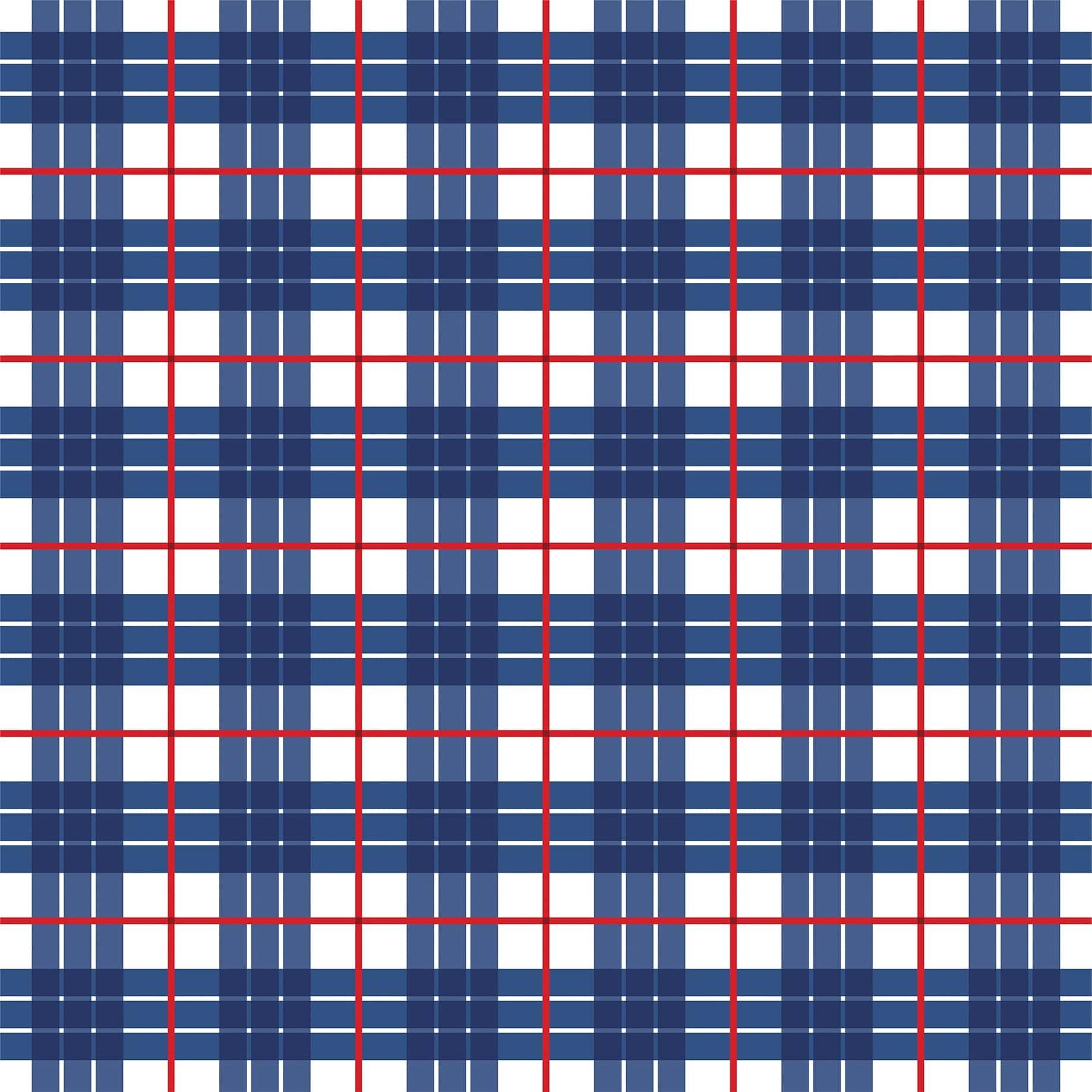 Let Freedom Ring Collection Patriotic Plaid 12 x 12 Double-Sided Scrapbook Paper by Echo Park Paper - Scrapbook Supply Companies