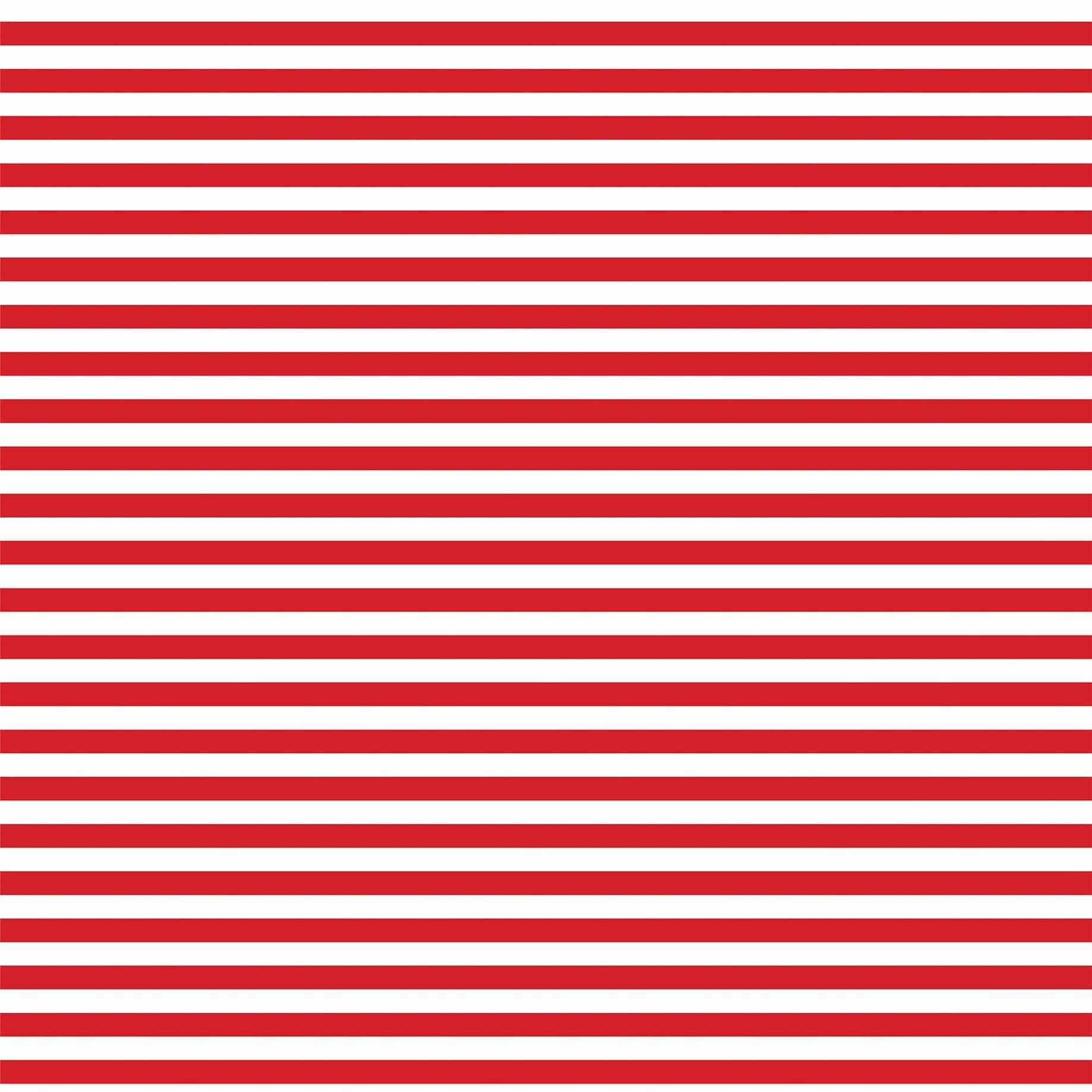 Let Freedom Ring Collection Patriotic Plaid 12 x 12 Double-Sided Scrapbook Paper by Echo Park Paper - Scrapbook Supply Companies