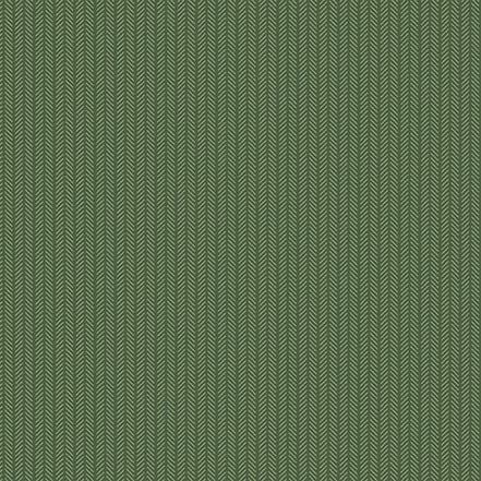 Let's Go Camping Collection Just Stay Wild 12 x 12 Double-Sided Scrapbook Paper by Echo Park Paper - Scrapbook Supply Companies