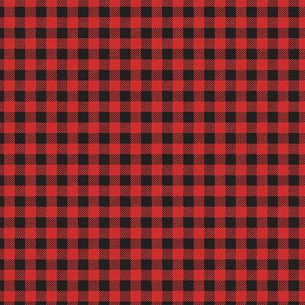 Let's Go Camping Collection Wild Plaid 12 x 12 Double-Sided Scrapbook Paper by Echo Park Paper - Scrapbook Supply Companies