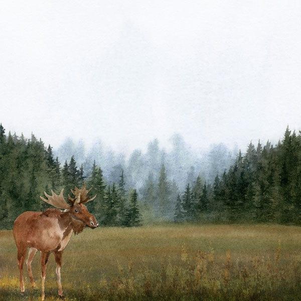 Watercolor Collection Moose 12 x 12 Double-Sided Scrapbook Paper by Scrapbook Customs - Scrapbook Supply Companies