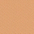 Our Baby Collection Wild Thing 12 x 12 Double-Sided Scrapbook Paper by Echo Park Paper - Scrapbook Supply Companies