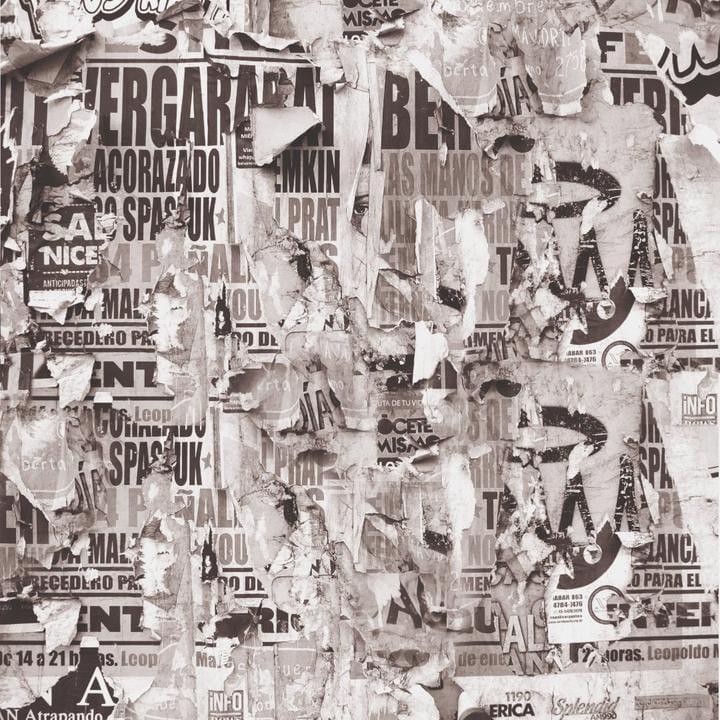 Workshop Collection Courageous 12 x 12 Double-Sided Scrapbook Paper by Kaisercraft