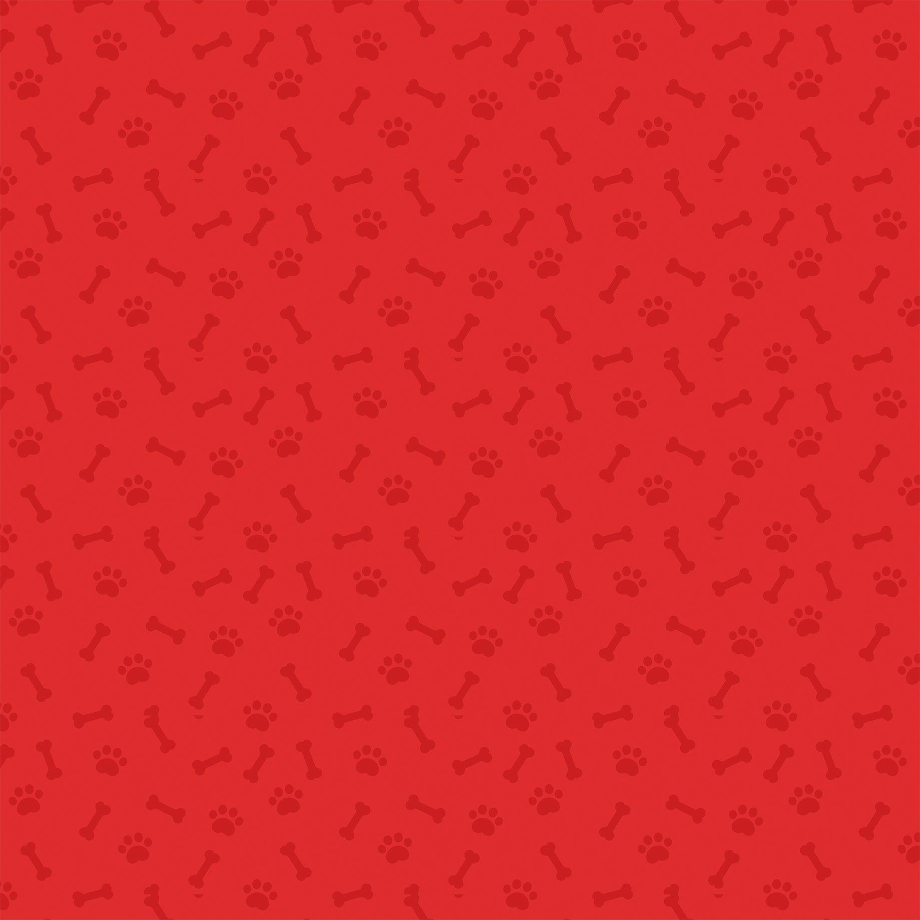 Pets Collection Park Playdate 12 x 12 Double-Sided Scrapbook Paper by Echo Park Paper - Scrapbook Supply Companies