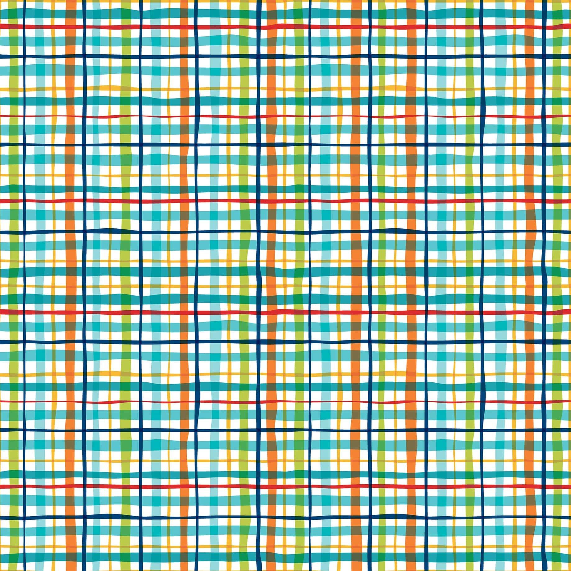 Pets Collection Pet Plaid 12 x 12 Double-Sided Scrapbook Paper by Echo Park Paper - Scrapbook Supply Companies