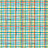 Pets Collection Pet Plaid 12 x 12 Double-Sided Scrapbook Paper by Echo Park Paper - Scrapbook Supply Companies