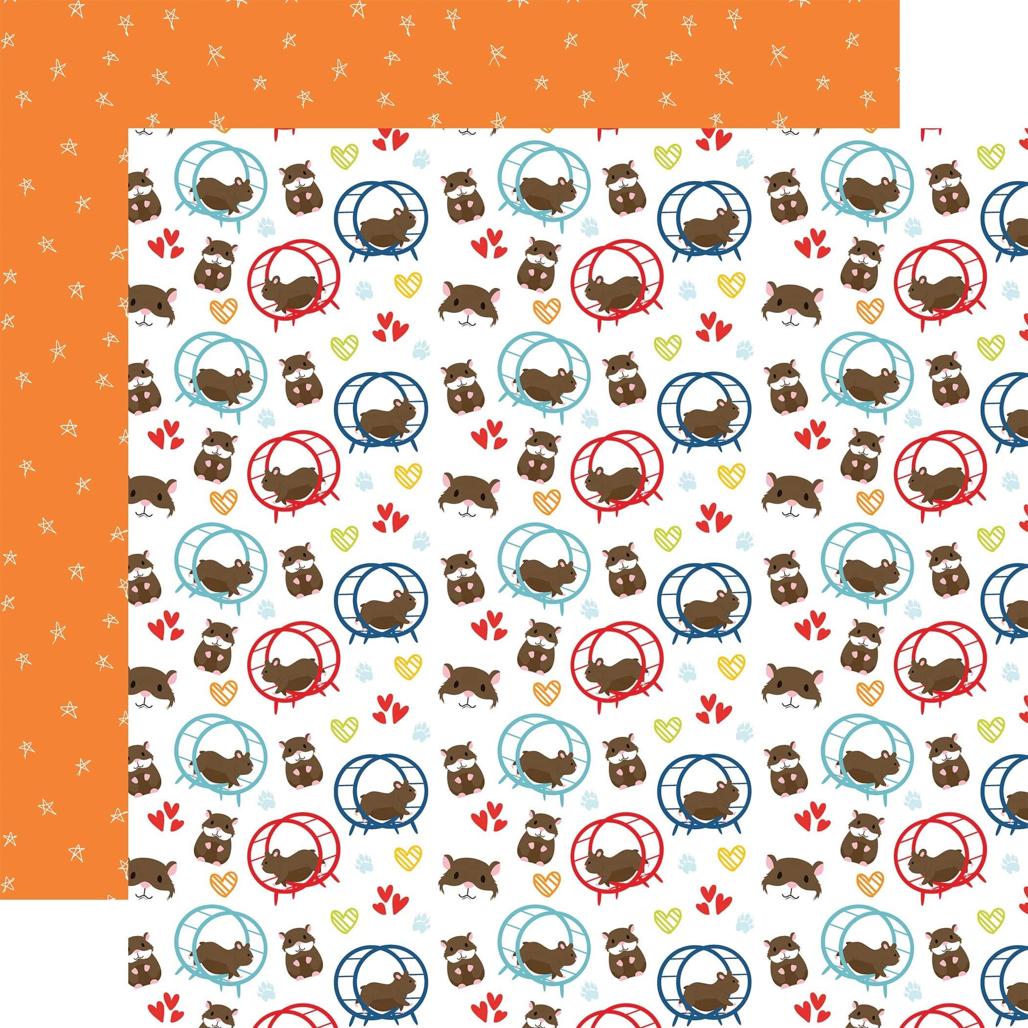 Pets Collection On A Roll 12 x 12 Double-Sided Scrapbook Paper by Echo Park Paper